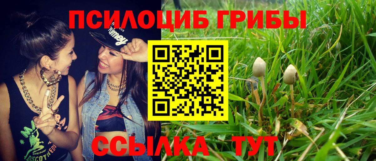 Псилоцибиновые грибы GOLDEN TEACHER  Вход с VPN  закладки  Лосино-Петровский 